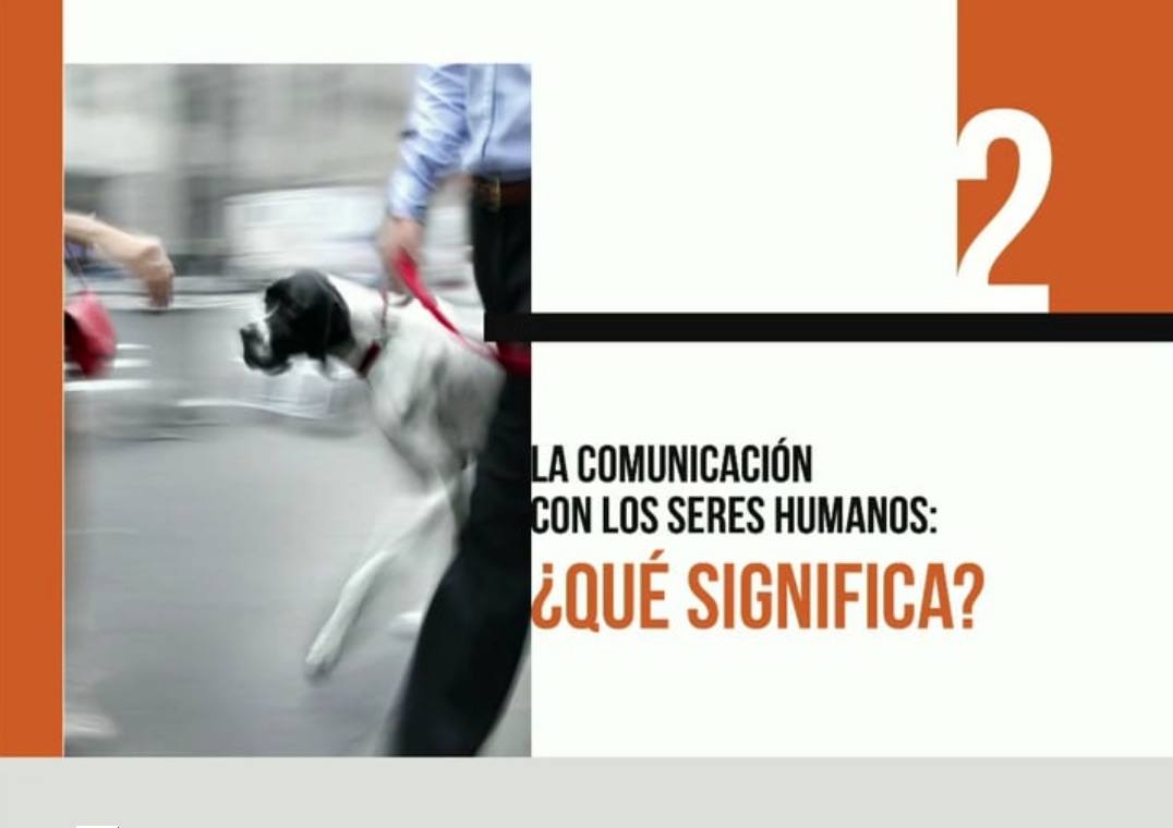 La Agresividad Canina (II): La comunicación con los humanos