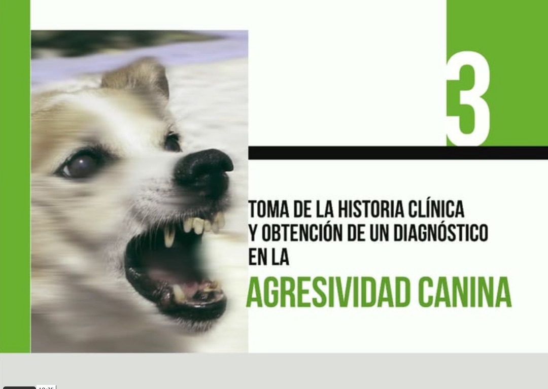 La Agresividad Canina (III): Historia clínica y diagnóstico