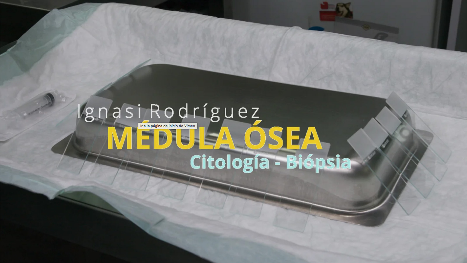 Citología y biopsia de médula ósea